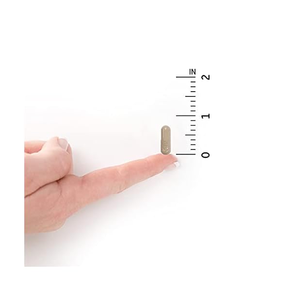 Garden of Life Multivitamin for Men - Vitamin Code 50 & Wiser Men's Raw Whole Food Vitamin Supplement with Probiotics, Vegetarian, 240 Capsules