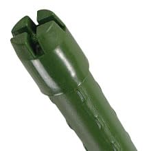 Amazon | 国華園 支柱 直径11mm 長さ150cm 200本 イボ付 鋼管製 錆び