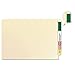 Doctor Stuff - Solid Color File Folder Labels, Compatible with Smead Series, Unlaminated Solid Green Stickers, 2
