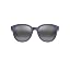 Matte Dark Violet W/Purple Int/Neutral Grey Polarized
