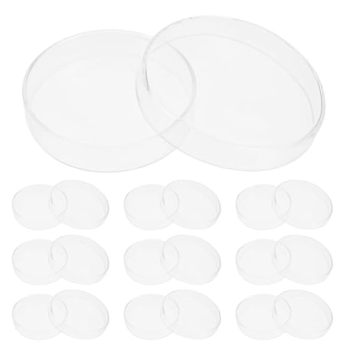 Boîte de Pétri pour Projet Scientifique et Expériences de Microscope