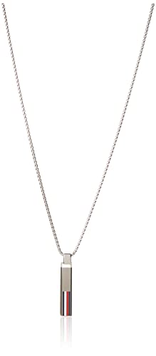 Tommy Hilfiger Men's Dog Tag2