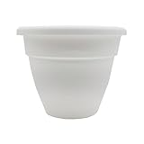 The HC Companies Caribbean Planter Pot - Outdoor & Indoor Plant Pot with Drainage Hole & Plug - Rolled Rim Plastic Pots for Plants & Flowers - Decorative Plant Pot (8' White, Pack of 1)