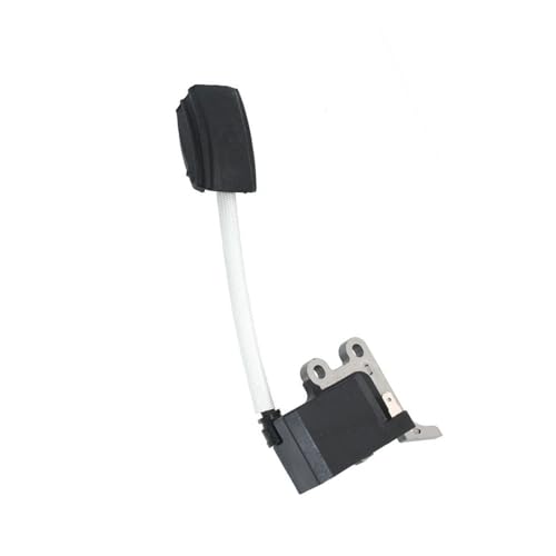 Module d'allumage haute durabilité pour modèle BCZ4000DW