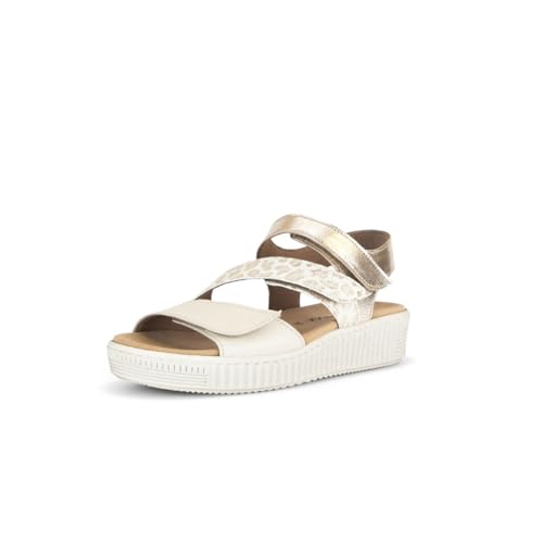 [K{[] tbgT_ gvxgT_ fB[X 23.5 cm