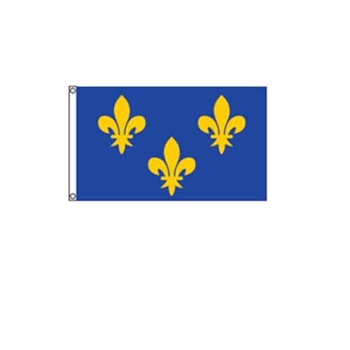 Stormflag Drapeau Ile-de-France 90x150cm Drapeau 3 Fleur de Lys Bleu et Or 3x5ft polyester 90g avec œillets et Double couture
