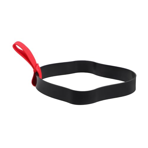 Totority Adjustable Scuba Oxygen Diving Equipment Tank Accessory Back Holder Cylinder Retainer Strap for Divers