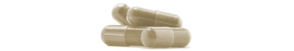 Gymnema & Chrome * 400 mg / 60 gélules * Titré à 100 mg en acide gymnémique *