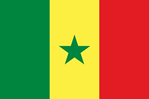 Drapeau Sénégal large de qualité supérieure format paysage - 2