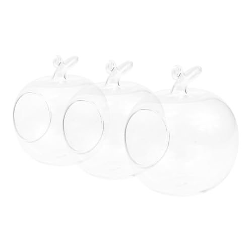 Gatuida 3 Piezas Jarrones para Hidroponía Forma de Manzana Botellas Decorativas Transparentes para Micro Macetas de Invernadero para Escritorio y Decoración de Hogar