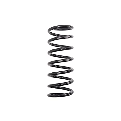 KYB RA6669 Coil Spring
