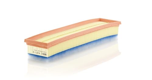 Filtre à air MANN-FILTER C 4371/2 pour véhicule de tourisme et utilitaire