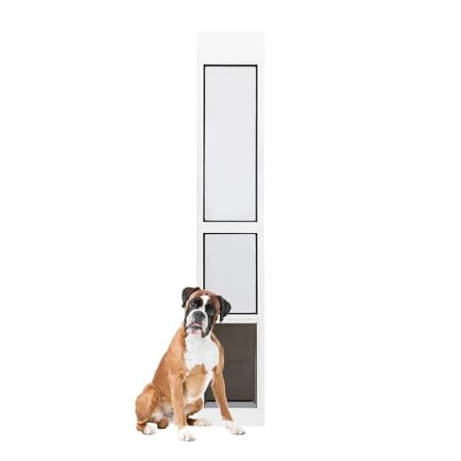 PetSafe Extreme Weather Sliding Glass Pet Door, Easy to Install, Perfect for Rental Homes and Apartments, Insert for Patio Sliding Glass Doors, Large Size