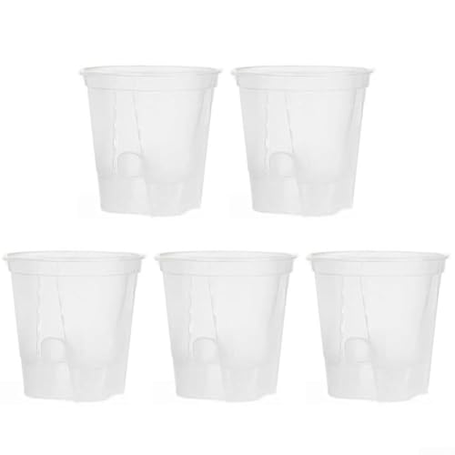 Macetas transparentes con orificio de drenaje y platillo, adecuadas para varias plantas de interior, incluyendo aloe vera, cactus y plantas con flores (180)
