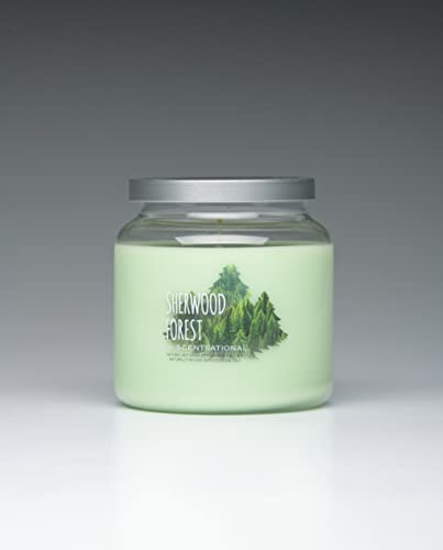 Scentsational Candles | Sherwood Forest Jar Candle | Luxury Scented Soy Jar Candle | Hand Poured In The Usa | Highly Scented & Long Lasting | 19 Oz. #TOP16
