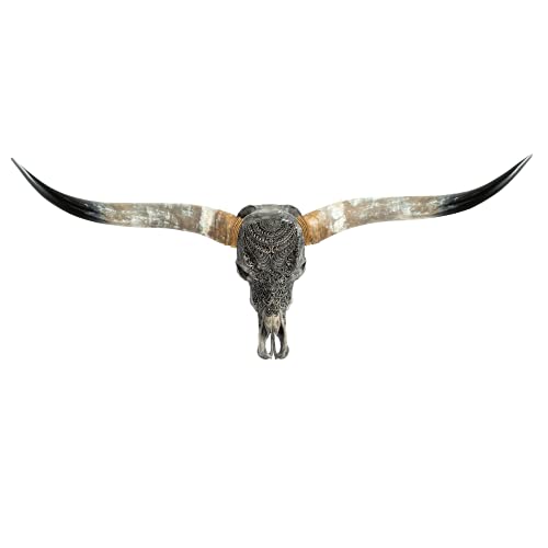 Hand Carved Real Taxidermy Longhorn Buffalo Skull with Horns / Genuine Home Wall Hanging Decor by Skull Bliss (Standard Horns, Large Horns)