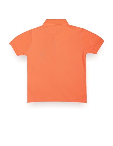 Image of U.S. Polo ASSN. Kids Polo T Shirt for Boys - 100% Cotton, Embroidered Logo, Kids Polo T Shirt for Boys