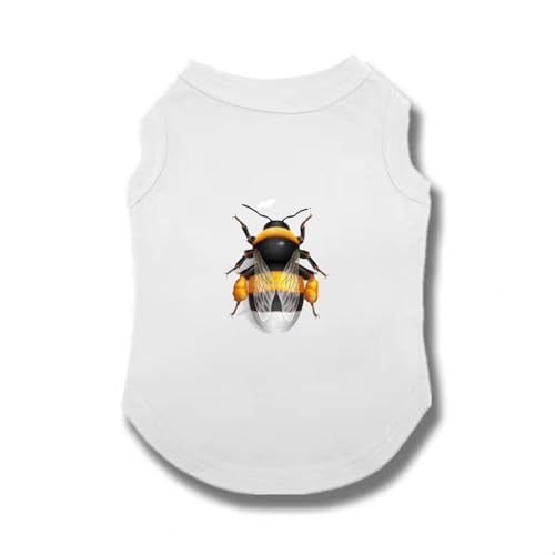 [XANPYO] ybg hbOEFA xXg Ăh  Eѕی t@bV ƒ U ʋC Lk y  ybg tĕ іh~ ?Oh EȒP XL  t   lGʗp h~