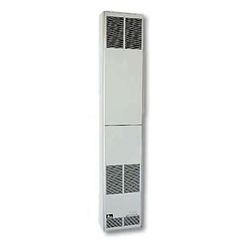 Amazon.com: Empire Comfort Systems DV 24V Standing Pilot Counterflow Wall  Furnace W/O Thermostat - LP : Home u0026 Kitchen