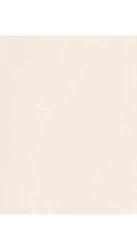 LUXPaper 8.5” x 11” Paper for Crafts and Printing in Ivory, Scrapbook and Office Supplies, 1000 Pack (Off-White)