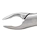 American Forceps Apical, Upper Premolar No. 150AF