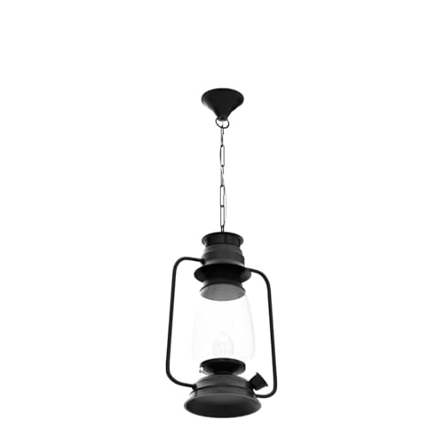 Image of Indoor /Outdoor Pendant Metal Hanging Lantern, 1-Light Exterior Hanging Lantern for Porch Entrance, Black Finish with Clear Glass (Black+Bulb)