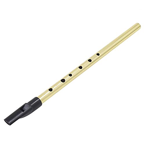Flöte Irish Whistle Flöte D Key 6 Loch Klarinette Flöte Tin Penny Whistle Musikinstrument aus vernickeltem Messing