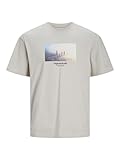 Jack & Jones JORVESTERBRO Picture tee SS Crew Neck SN, Moonbeam, L