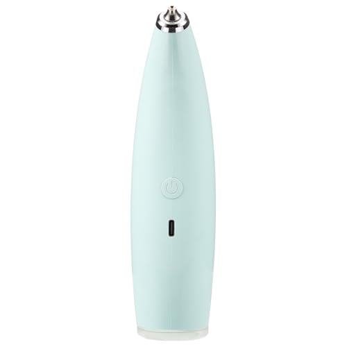 Vaporisateur facial portatif rechargeable pour hydratation et soin du visage