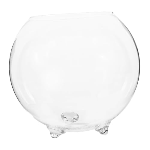 Levemolo Florero Vidrio Transparente Bambú La Suerte Regalos Aguacate Terrario Cuenco Redondo Cristal Regalos Plantas Jarrón Vidrio Cilíndrico Hidroponia Pecera Oficina