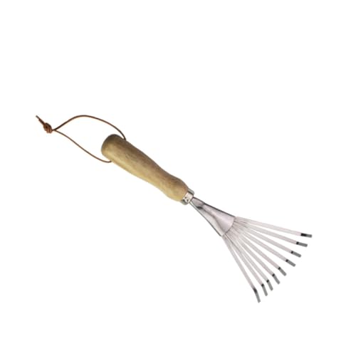 Didiseaon 1pièce Râteau De Jardin Acier Inoxydable à Dents pour Ameublir Le Sol Outil Agricole pour Jardinage Et Entretien De Pelouse Parfait pour Planter Fleurs Et