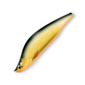 Amazon.co.jp: イトウクラフト ボウイ 50S GG : スポーツ＆アウトドア