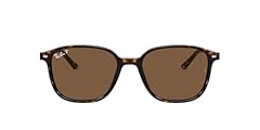 Tortoise/Polarized B-15 Brown