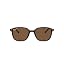 Tortoise/Polarized B|15 Brown