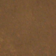 Tru Tique (Adobe Brown) Pigmento de color lavado anticuado de hormigón (19 colores)  Mejora las superficies texturizadas, aspecto similar a la