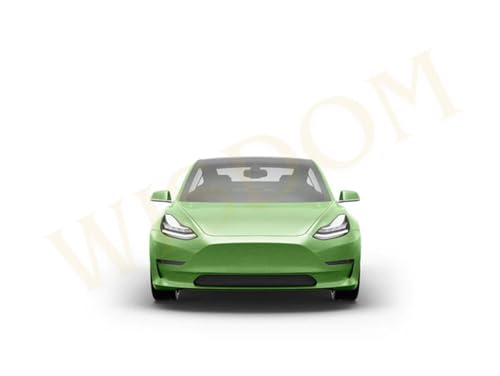 Image of WISDOM Apple Green Matt Metallic Vehicle Wrap Vinyl matt Finish Easy Apply Air-Release Weatherproof DIY Car & Motorcycle (Apple Green Metallic, 20 Inch X 7 Feet)