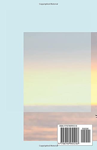 Children's Field Guide to Birds of the Jersey Shore - Image 2