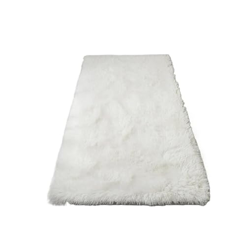 ����~�߉��H�̃C�~�e�[�V�����E�[���x�b�h�T�C�h���O�A����~�߉��H�̏��ی�\�t�@�N�b�V�����A�􂦂钷�уJ�[�y�b�g�A�z�[���f�R���[�V����(White-,40x60cm)