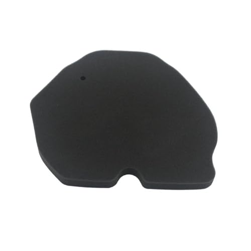 Filtre à air Benelli BN302 TORNADO TNT300 accessoire de carburation moteur