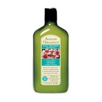 Conditioner - Tea Tree Scalp Treatment - 11 oz - Liquid
