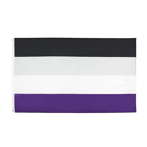 TABANA 90 x 150 cm große Progress Pride Ass Flagge LGBT LGBTQ Regenbogen Ace Flags Banner UV farbbeständig Doppelseitiger Druck mit 2 Ösen für drinnen und draußen Cover