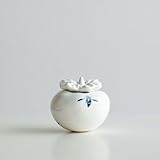 LEEDJUINE Contenitore per tè in ceramica disegnato a mano, 80 ml, serbatoio sigillato per conservare il tè per uso domestico