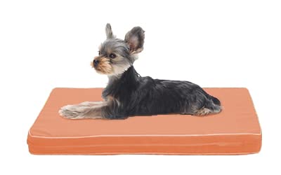Amazon | 老犬用 ペットケアマットNEO/S (オレンジ) | 爽快潔リビング