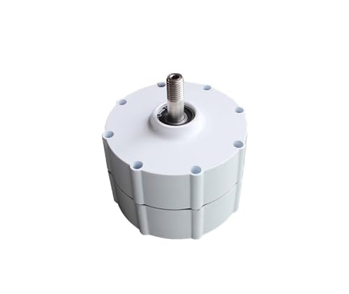 Generador de turbina eólica de 2000 W, 12 V, 24 V, 48 V, potencia de baja RPM para el hogar, granja, alumbrado público, barcos (sin base, doble eje de 12 V)