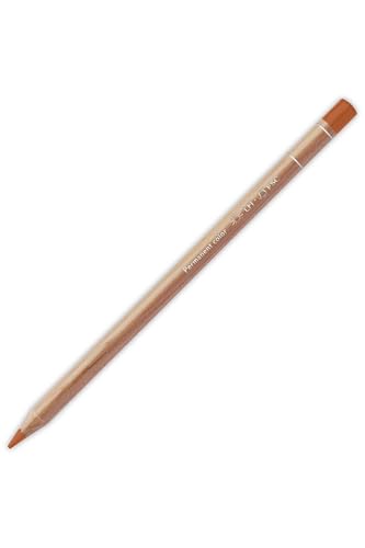 Image of Caran Dache Artist Luminance Color Pencil - Brown Ochre