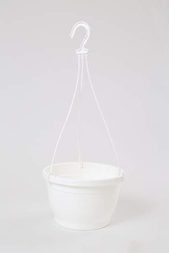 Image of CAPPL 8 Inch Hanging Pot, 6 Pcs, White Colour