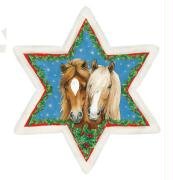 Pferde-Weihnachtsstern Pferde-Weihnachtsstern