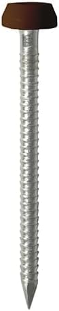 65mm Brown UPVC Polytop Nails Stainless Steel (Pack of 10)