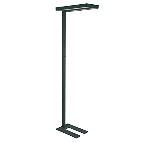 Maul MAULjaval Lampadaire LED à intensité variable pour bureau et salle de conférence, économe en énergie avec température de couleur 4000 K, noir