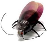 Amazon ゴキブリ ラジコン リアルな見た目と音 カサカサ動かせる サプライズやイベントに お尻にledライト搭載 Mi Cockroach ピンク ラジコン ドローン 通販